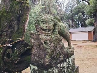 大木神社の参拝記録(飛成さん)