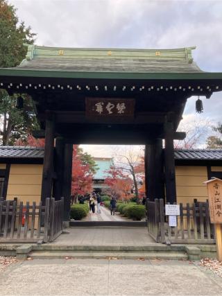 豪徳寺の参拝記録(くりさん)