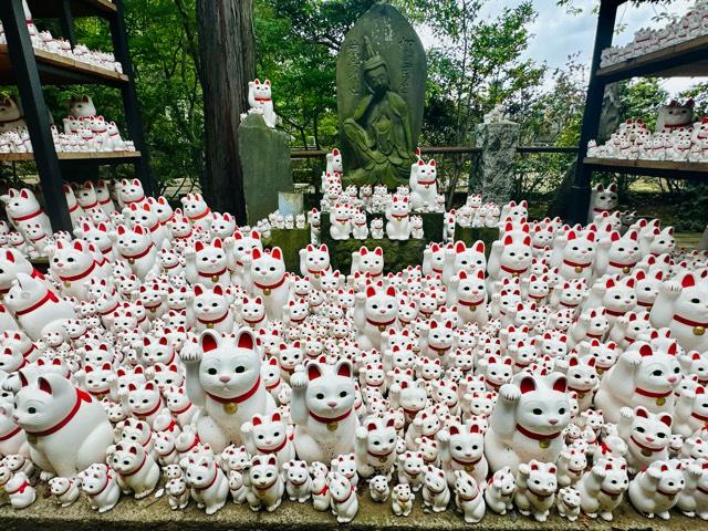 豪徳寺の参拝記録6