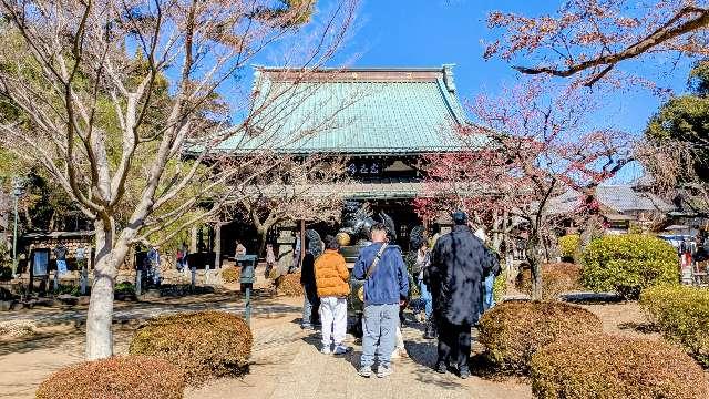 豪徳寺の参拝記録9