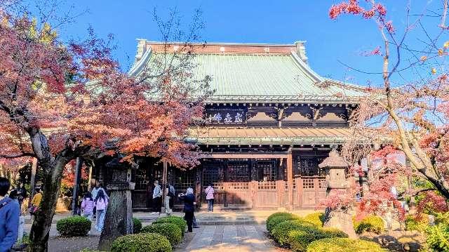 豪徳寺の参拝記録6