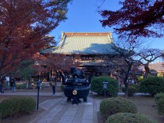 豪徳寺の参拝記録(バルタさん)