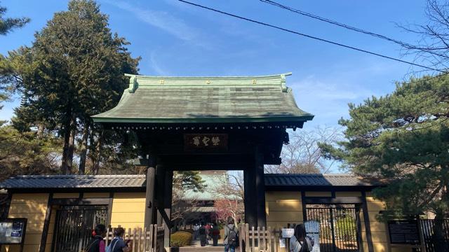 豪徳寺の参拝記録8