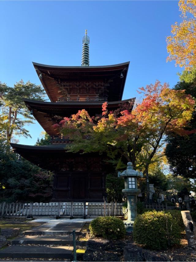 豪徳寺の参拝記録9