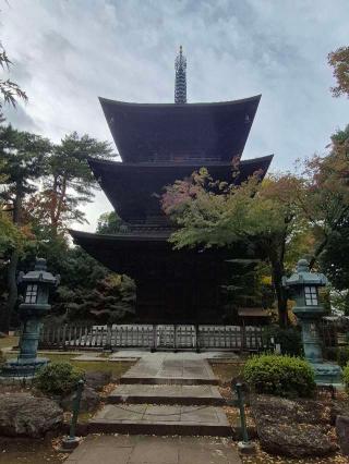 豪徳寺の参拝記録(ヒロ&ダディさん)