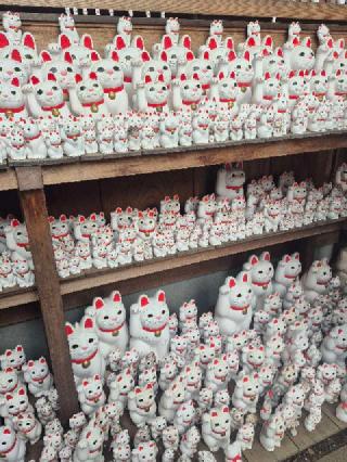 豪徳寺の参拝記録(ヒロ&ダディさん)