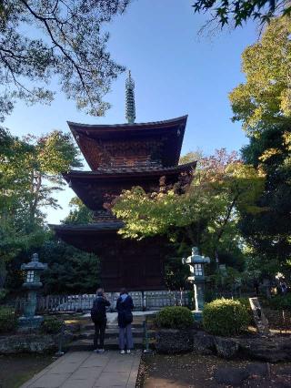 豪徳寺の参拝記録(ああああさん)