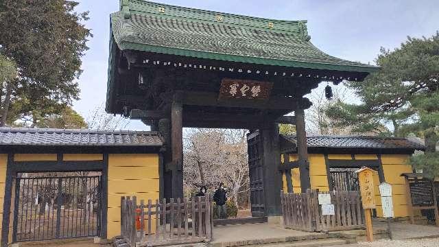 豪徳寺の参拝記録6