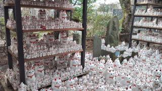 豪徳寺の参拝記録(伊平太さん)