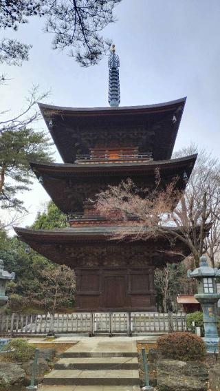 豪徳寺の参拝記録(伊平太さん)