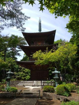 豪徳寺の参拝記録(Big-hさん)