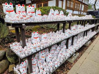 豪徳寺の参拝記録(くわさん)