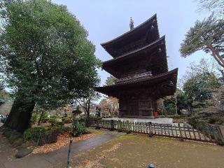豪徳寺の参拝記録(naniさん)