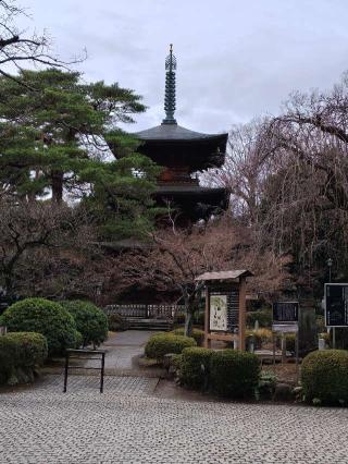 豪徳寺の参拝記録(naniさん)