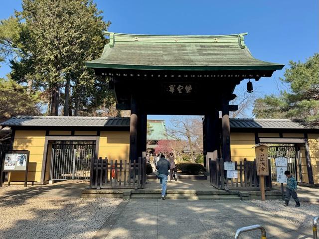 豪徳寺の参拝記録7