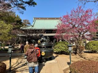 豪徳寺の参拝記録(きくりんさん)