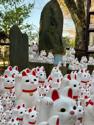 豪徳寺の参拝記録(きくりんさん)