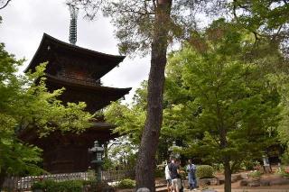 豪徳寺の参拝記録(ユウさん)