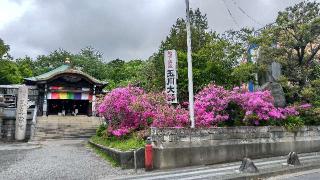 寶泉山 玉眞院 (玉川大師)の参拝記録(松さん)