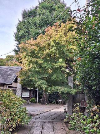竹園山 最勝寺 教学院（目青不動尊）の参拝記録(まーさんさん)