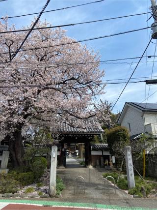 永安寺	（龍華山長壽院）の参拝記録(シャモさん)