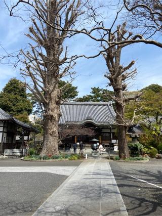 永安寺	（龍華山長壽院）の参拝記録(シャモさん)
