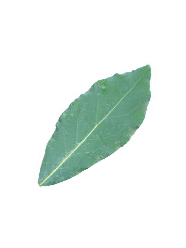 船場菅原神社の参拝記録2