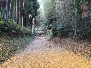 楠原阿蘇神社の参拝記録(ドラゴンさん)
