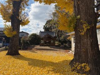 鹿子木菅原神社の参拝記録(ドラゴンさん)