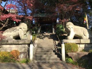 善養寺（善養蜜寺）の参拝記録(せーこさん)