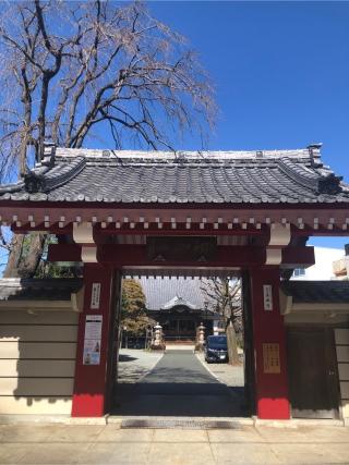 眞福寺の参拝記録(もりもりさん)