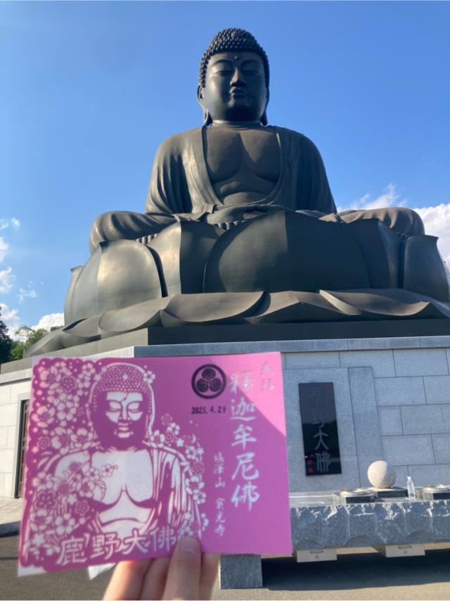 宝光寺(鹿野大仏)の参拝記録2