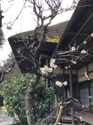 聞修院の参拝記録(たかさん)