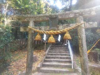 加茂神社(加茂社)の参拝記録(雪月さん)