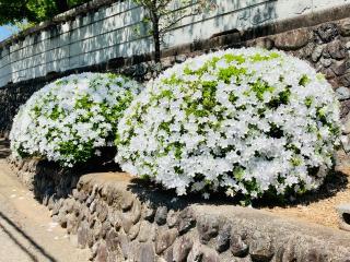 宗徳寺の参拝記録(SUPRAさん)