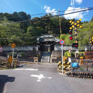 宗徳寺の参拝記録(しろぎすさん)