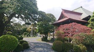 仙桃山 宗建寺の参拝記録(まっきーさん)