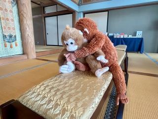 瀑布山 常保寺の参拝記録(reiさん)