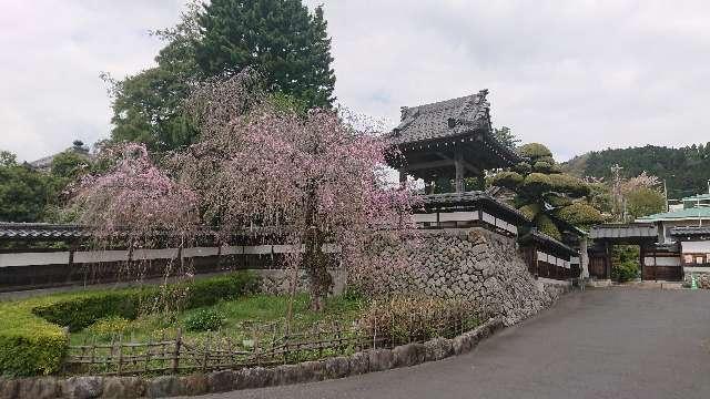 東京都青梅市天ヶ瀬町1032 青梅山 金剛寺の写真4
