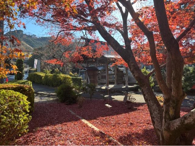 寳珠山 地蔵院の参拝記録3