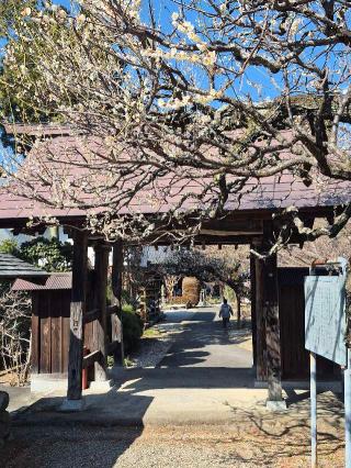 寳珠山 地蔵院の参拝記録(ヒロ&ダディさん)