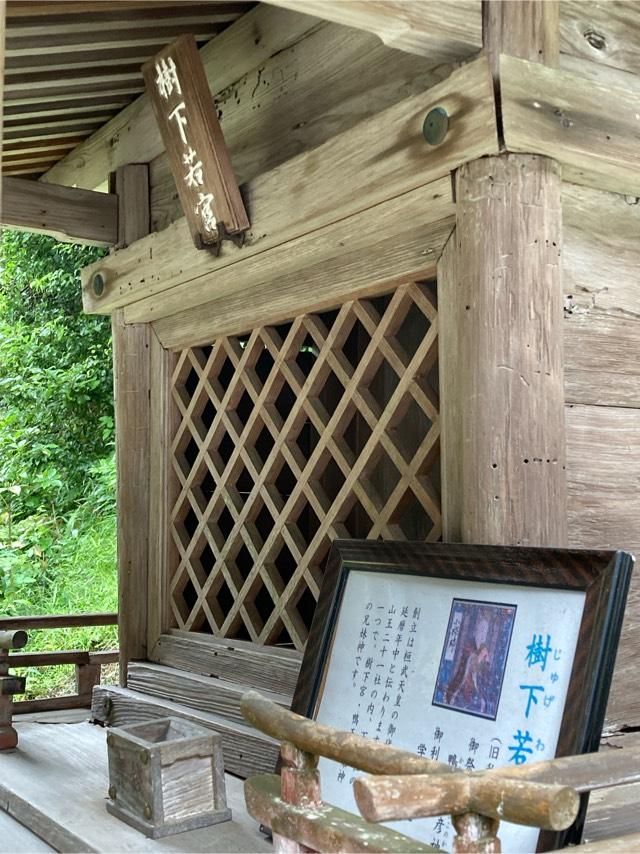日吉大社　樹下若宮の参拝記録5