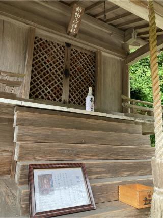 日吉大社　新物忌神社の参拝記録(恭子さん)