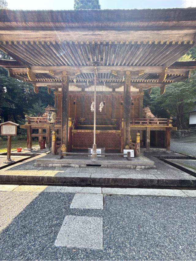 日吉大社　東本宮拝殿の参拝記録5