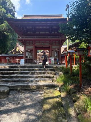 日吉大社　東本宮拝殿の参拝記録(かまちゃんさん)