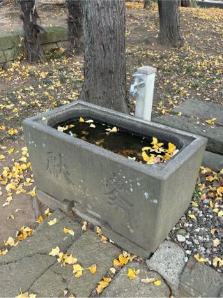 槐戸八幡神社の参拝記録(色部優兎さん)
