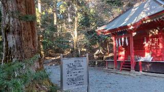 東照宮（花園神社境内社）の参拝記録(SFUKUさん)