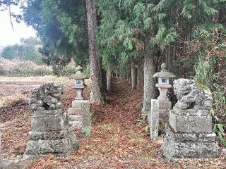 天王神社の参拝記録(さとみさん)