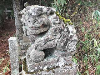 天王神社の参拝記録(さとみさん)