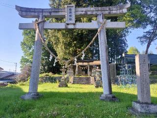 石井神社の参拝記録(さとみさん)